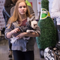 Jubiliejinio žiemos dvejetų turnyro finalniai susitikimai 