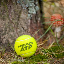 vasara-su-loccitane-mix-tennis-cup-finalai-sodyboje-dzukijos-perlas