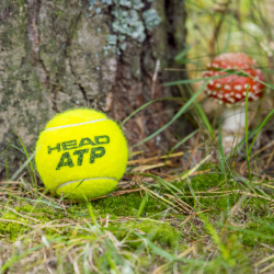 vasara-su-loccitane-mix-tennis-cup-finalai-sodyboje-dzukijos-perlas